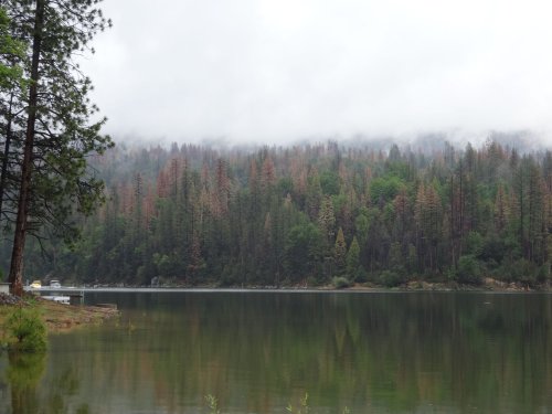 Willow Cove