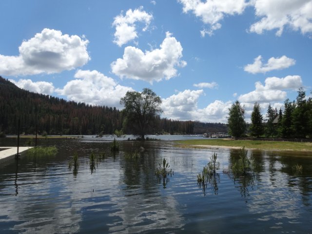Looking west