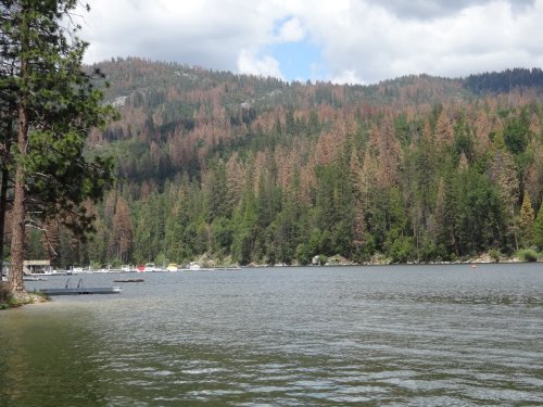 Willow Cove
