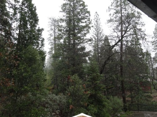 snow falling