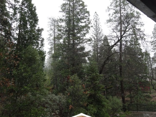 snow falling