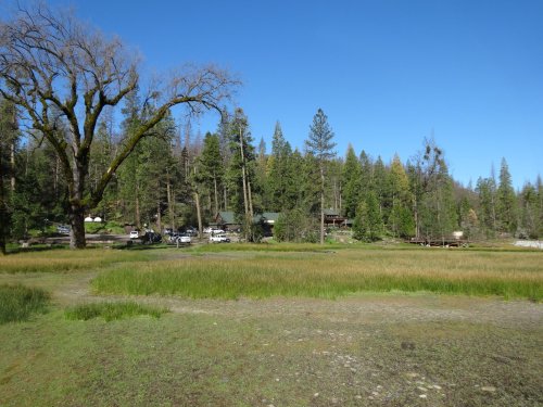 The Forks