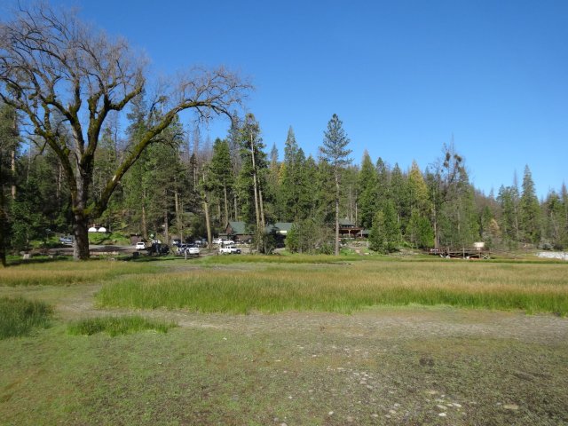 The Forks