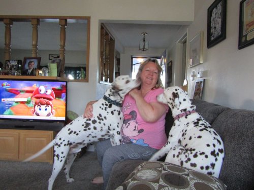 Mom, dad, Jonny and dogs 