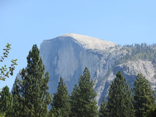Half Dome from Camp Curry