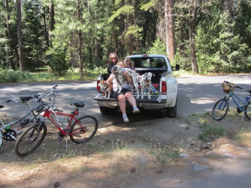 Family in truck