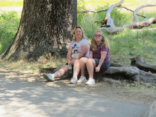 Girls by tree