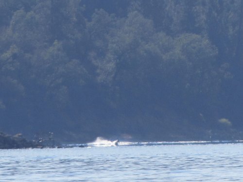 Family on watercraft at the lake