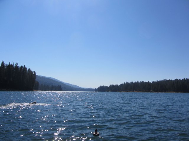 Duck, lake, and Dave swimming to buoy