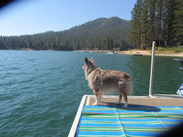 Zeke on dock