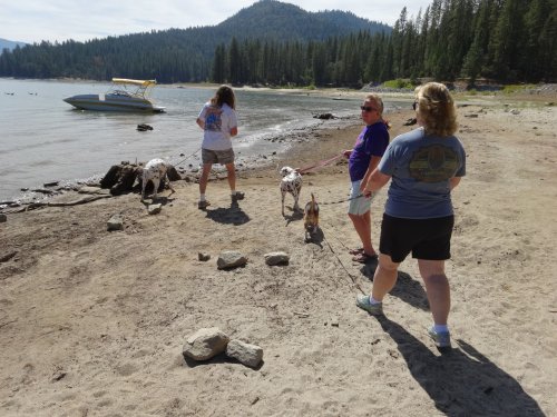 family walking by lake