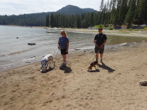 Mom, Jonny and dogs