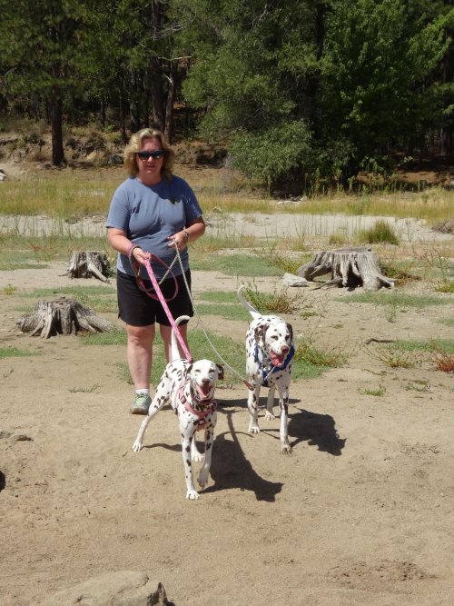 Lori and Dalmatians