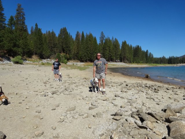 Jonny, dad and dogs