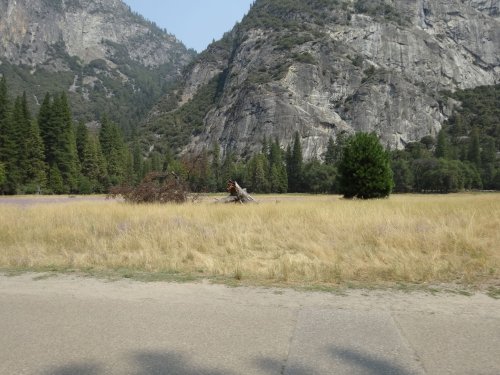 Yosemite