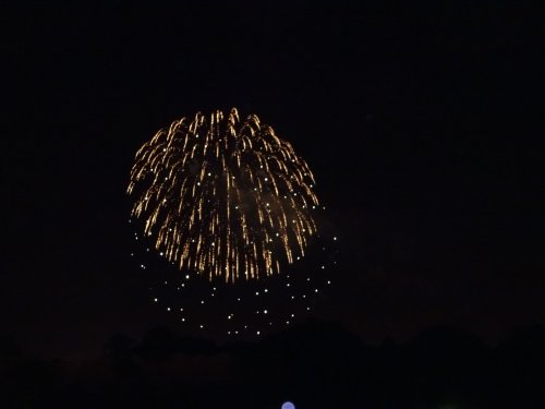 Fireworks at Disneyland