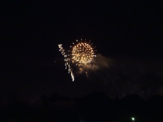 Fireworks at Disneyland
