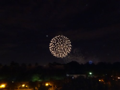 Fireworks at Disneyland