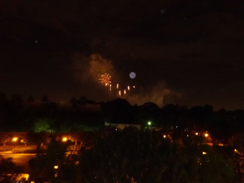 Fireworks at Disneyland