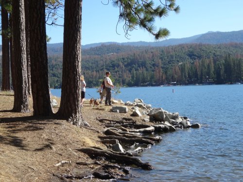 family at Bass Lake