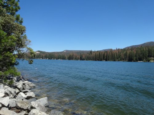 Bass Lake