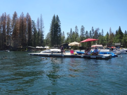 Family on the dock