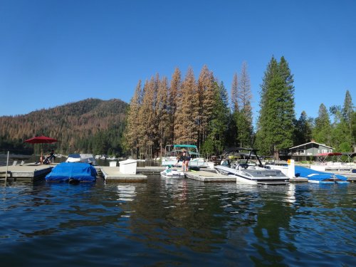 Family on the dock