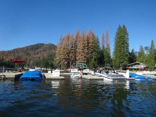 Family on the dock