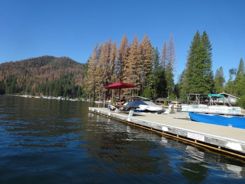 Family on the dock