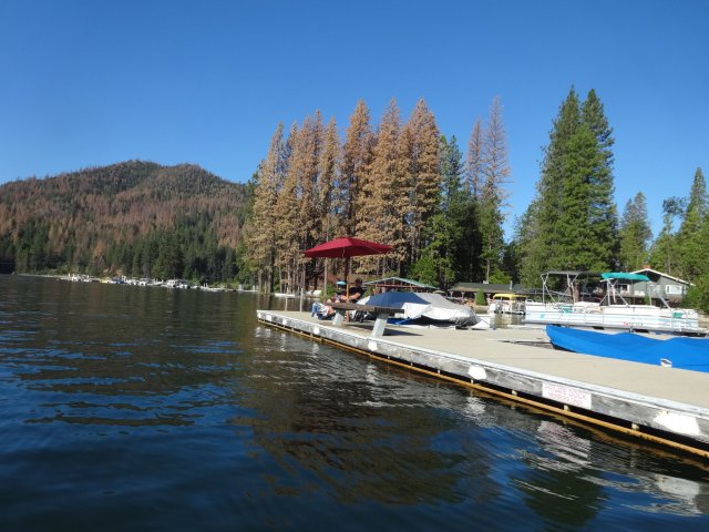 Family on the dock