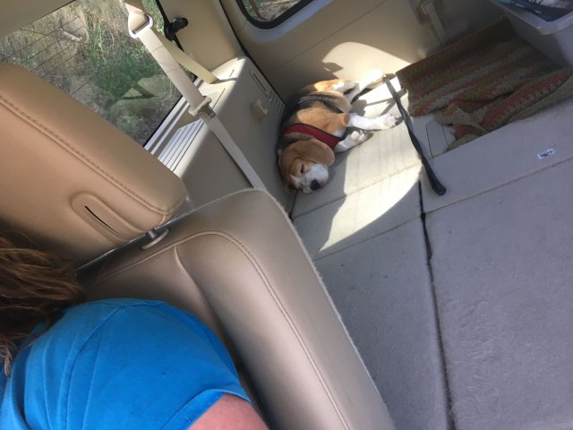 Jonny and dixie 