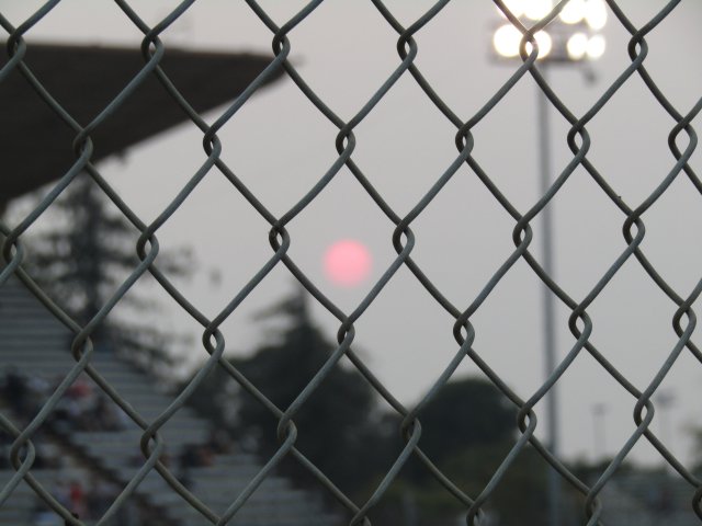 IMG_0910