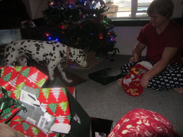 Lucky watching Jonny open presents