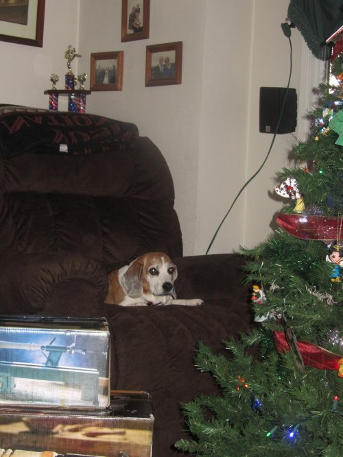 Riley supervising everything