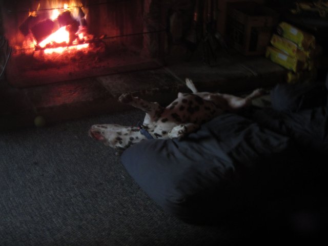 Lucky by the fire