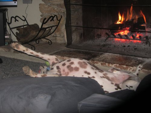 Lucky totally relaxed