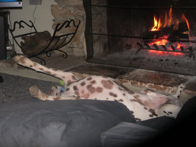 Lucky totally relaxed