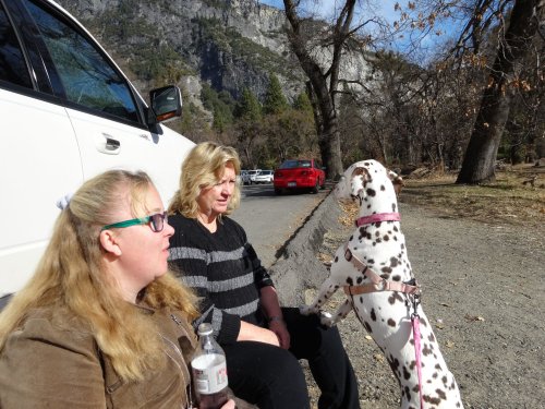 Girls and dogs