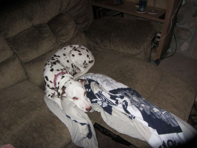 Dixie