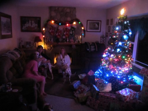 Family preparing to open presents