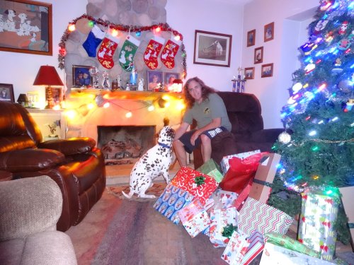 Christmas tree and presents