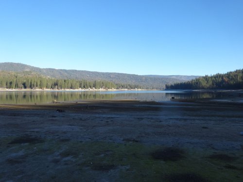 Bass Lake