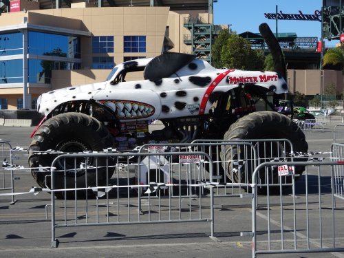 Monster Mutt Dalmatian