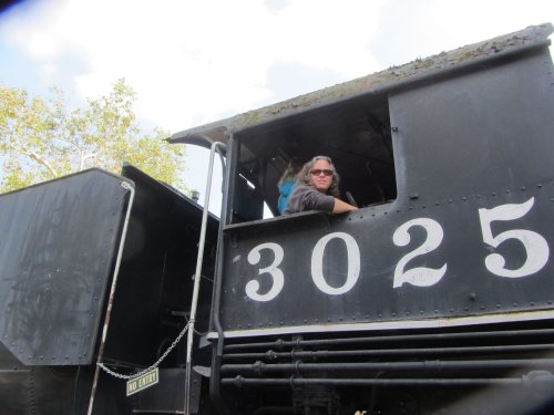 dad in engine