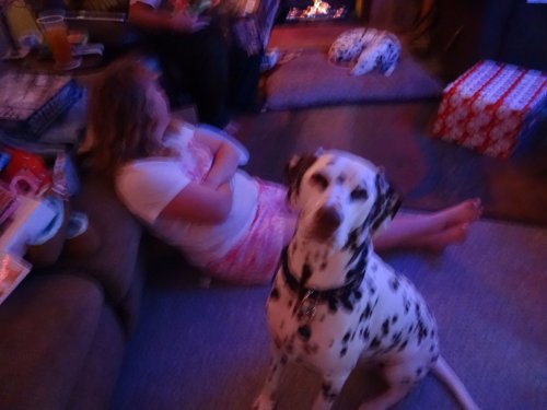 Lucky and Missy