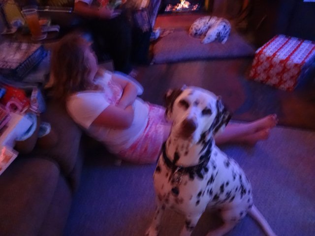 Lucky and Missy