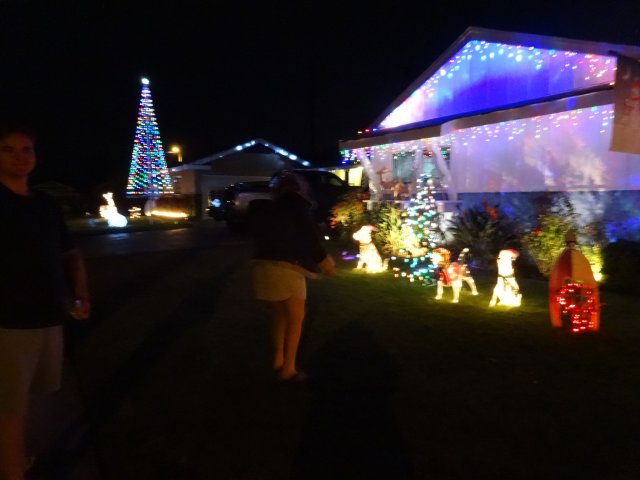 kids putting out reindeer food