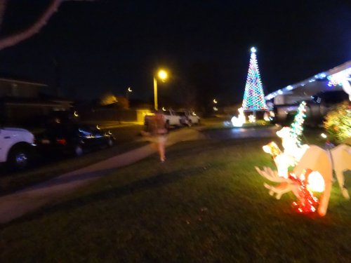 kids putting out reindeer food