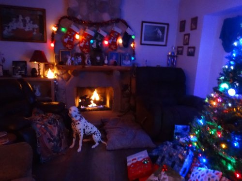 Family on Christmas morning
