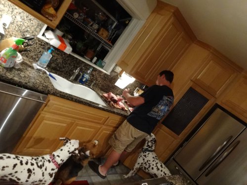 Jonny getting help from dogs as he carves the Christmas ham